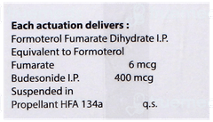 Budenol F 400 Inhaler 120Mdi Budenol F 400 Inhaler 120Mdi
